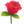 Une rose à 10 168195987